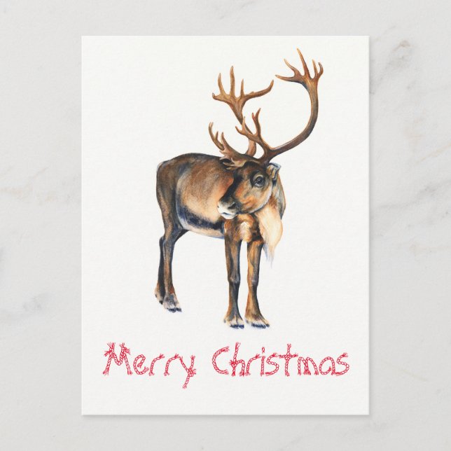 Christmas Reindeer Hand-Painted Caribou Watercolor Holiday Postcard (Front)