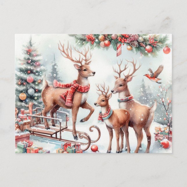  Christmas Reindeer Holiday Postcard (Front)