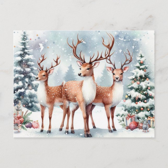  Christmas Reindeer Holiday Postcard (Front)