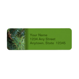 Christmas Return Address Labels with Pine Branches