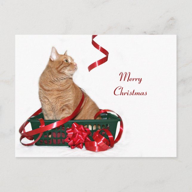 Christmas ribbon kitty holiday postcard (Front)