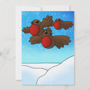 Christmas Robin Birds Card