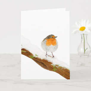 Christmas Robin  Card