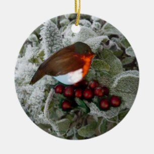 Christmas Robin Ceramic Tree Decoration