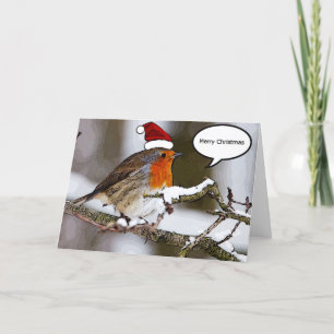 Christmas Robin Holiday Card