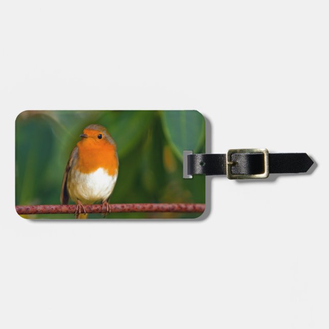 Christmas Robin Luggage Tag (Front Horizontal)