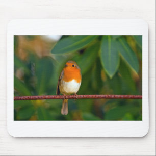 Christmas Robin Mouse Pad