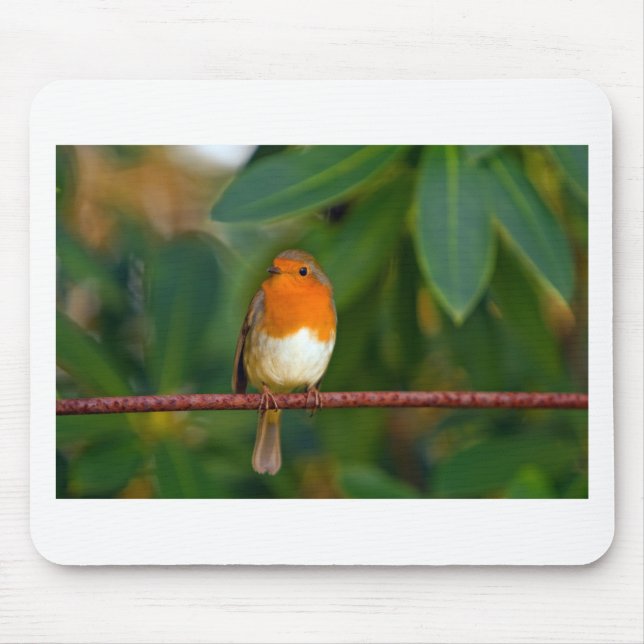 Christmas Robin Mouse Pad (Front)