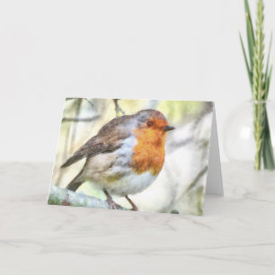Christmas Robin Redbreast Winter Watercolor Card
