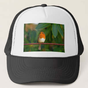 Christmas Robin Trucker Hat