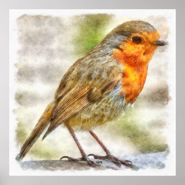 Christmas Robin Winter Watercolor Poster (Front)