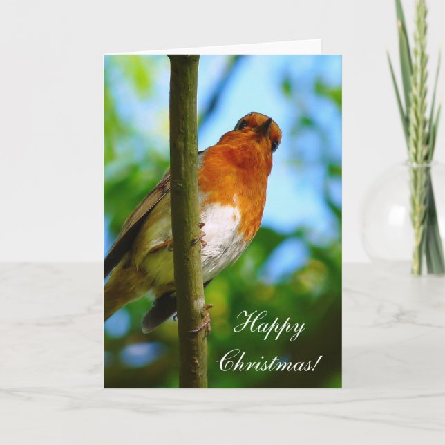CHRISTMAS ROBINS HOLIDAY CARD (Front)
