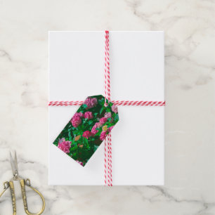 Christmas Rose Helleborus Flowers Floral Gift Tags