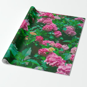 Christmas Rose Helleborus Flowers Floral Wrapping Paper