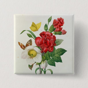 Christmas Rose, Helleborus niger 15 Cm Square Badge