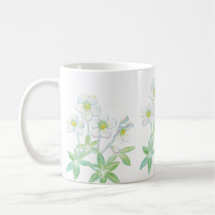 Christmas rose, Helleborus niger Coffee Mug