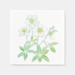 Christmas rose, Helleborus niger Illustration   Napkin