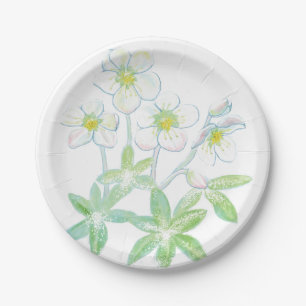 Christmas rose, Helleborus niger Illustration Paper Plate