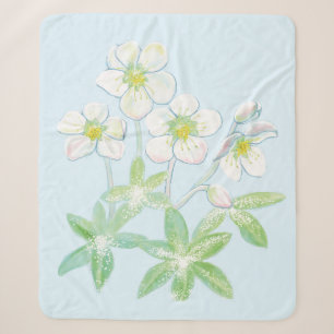 Christmas rose, Helleborus niger Sherpa Blanket