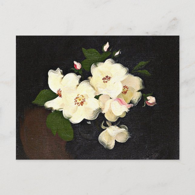 Christmas Roses, fine art painting Postcard (Front)