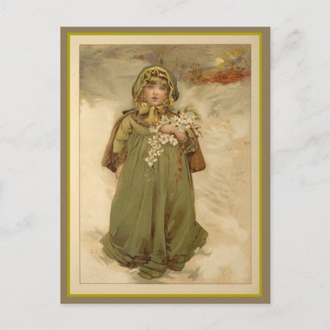 Christmas Roses Holiday Postcard (Front)