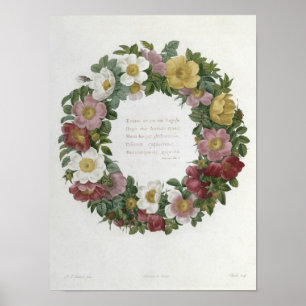 Christmas Roses Poster