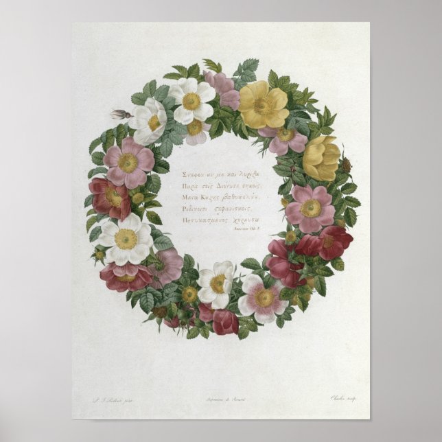 Christmas Roses Poster (Front)