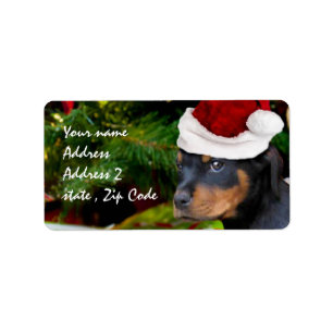 Christmas Rottweiler puppy Label