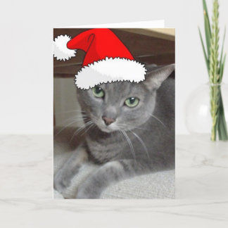 Christmas Russian Blue Grey Cat Holiday Card