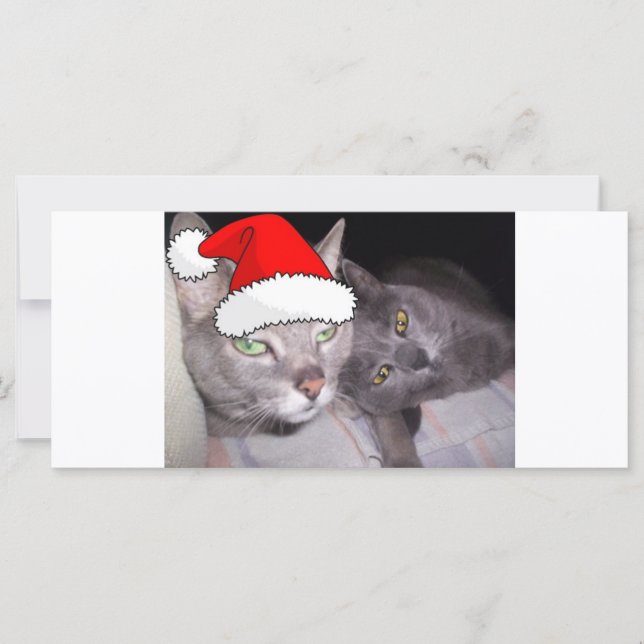 Christmas Russian Blue  Grey Cats (Front)