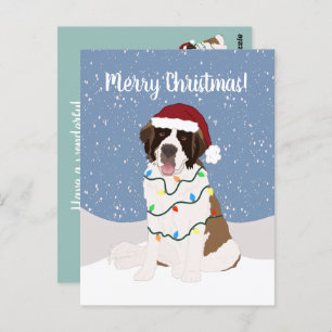 Christmas Saint Bernard  Postcard