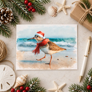Christmas Sandpiper at Beach Postcard