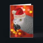 Christmas Santa African Grey Parrot Holiday Card<br><div class="desc">Fun Christmas card for the parrot lover featuring a festive red and multi-coloured bokeh background and an adorable African Grey Parrot in a Santa hat.</div>