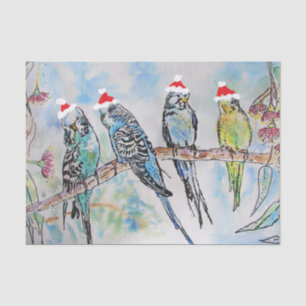Christmas Santa Budgies Budgerigar Bird Card Tissue Paper