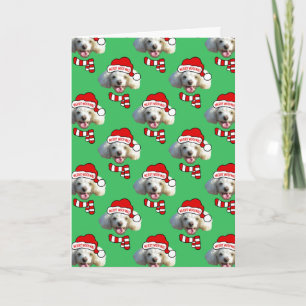 Christmas Santa Dog Custom Photo Pattern Card