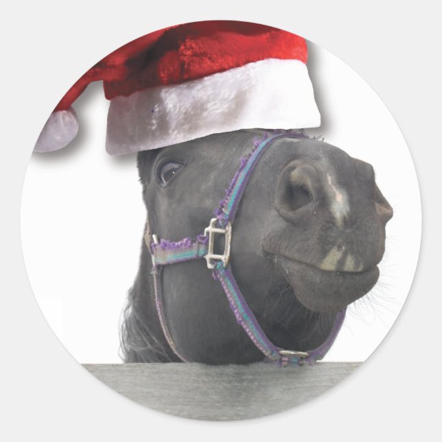 Christmas Santa Hat Horse Classic Round Sticker (Front)