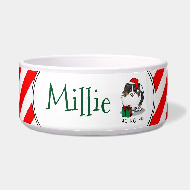 Christmas Santa Hat Pomeranian (tri-colour) Cute (Front)