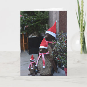 Christmas Santa Penguins Pavilion Road London UK Card