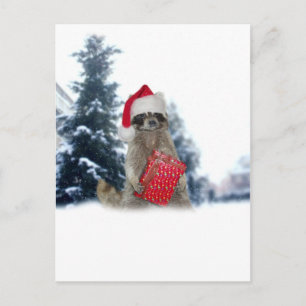 Christmas Santa Racoon Bandit Holiday Postcard