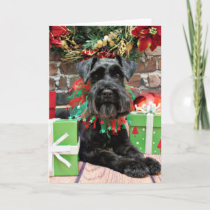 Christmas - Schnauzer - Fergie Holiday Card