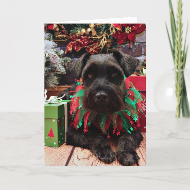 Christmas - Schnauzer Mix - Bentley Holiday Card (Front)