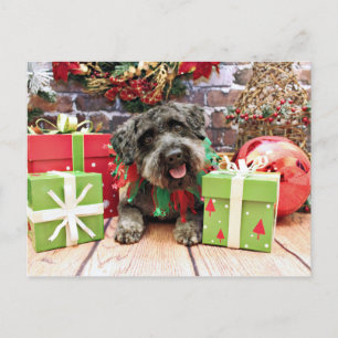 Christmas - Schnoodle - Dexter Holiday Postcard