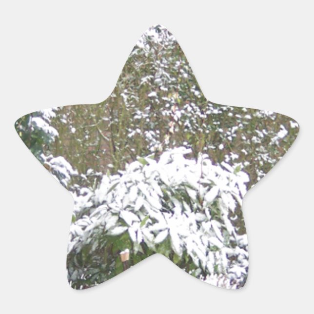 Christmas Season, Snow in the garden Star Sticker (Front)