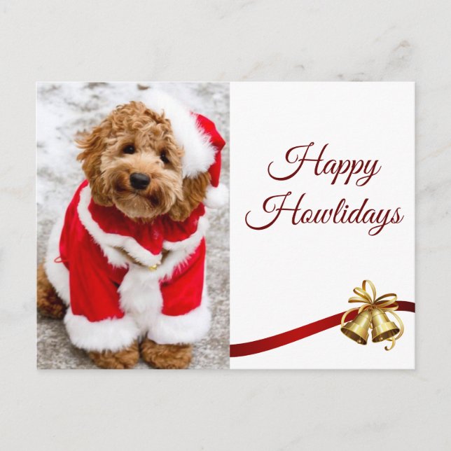 Christmas Seasons Greetings Cockapoo Friends Postcard (Front)