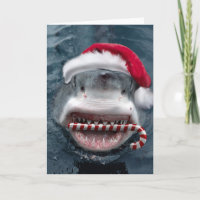 Christmas Shark