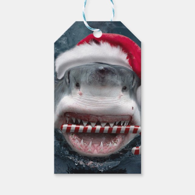 Christmas Shark Gift Tags (Front)