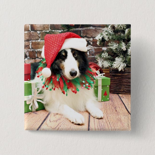 Christmas - Sheltie - Bandit 15 Cm Square Badge (Front)