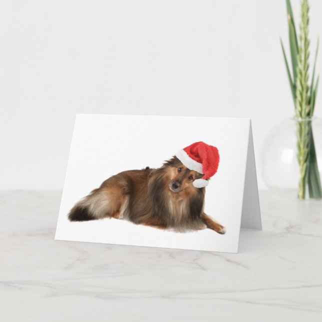 Christmas Sheltie dog Holiday Card (Front)