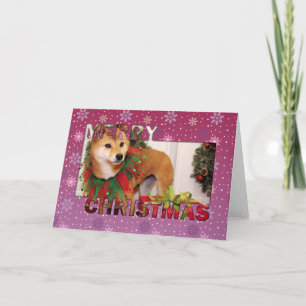 Christmas - Shiba Inu Photocard Holiday Card