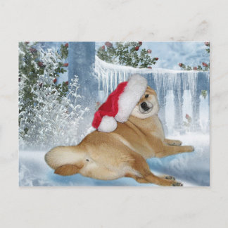 Christmas Shiba Inu Postcard